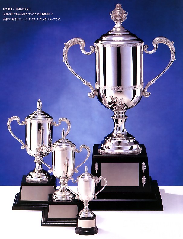 �D���J�b�v