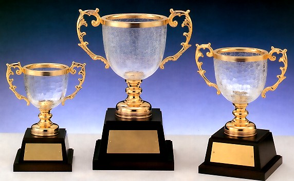 �D���J�b�v