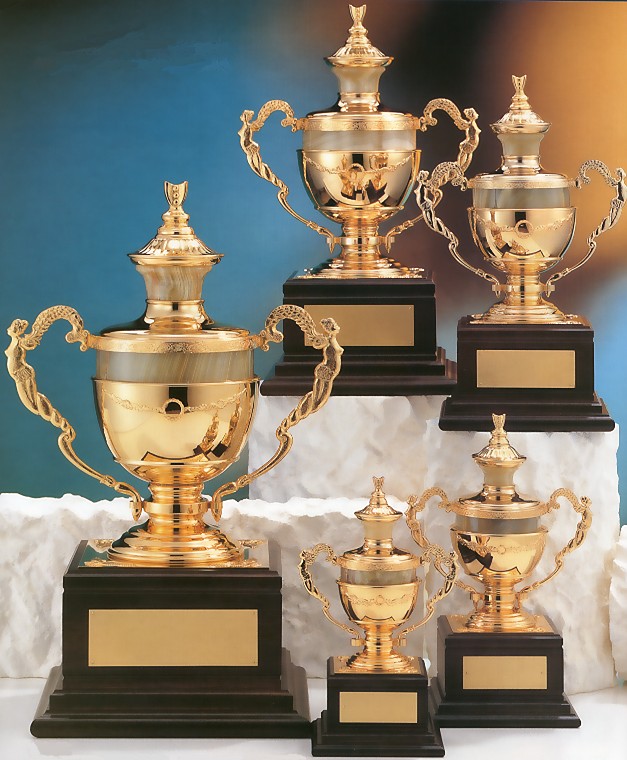 �D���J�b�v