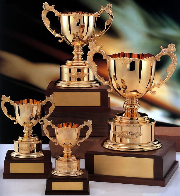 �D���J�b�v